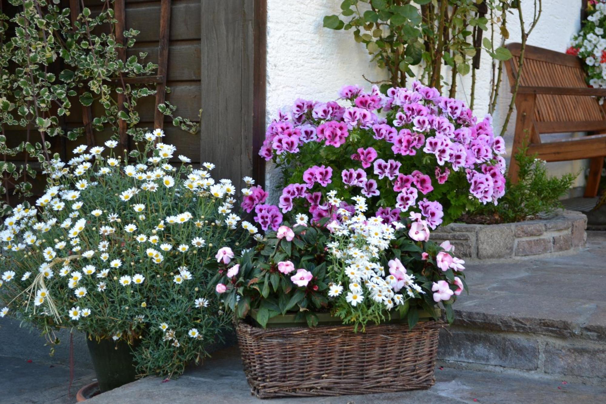 Haus Thurner Wagrain Esterno foto